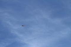 Fete_de_l-air_08092018_023