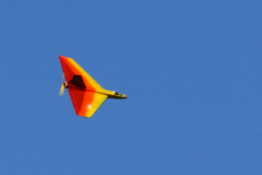 Fete_de_l-air_08092018_192